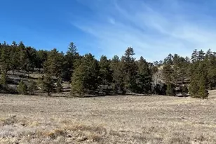 Tbd Hwy 9, Hartsel, CO 80449 - Photo 1