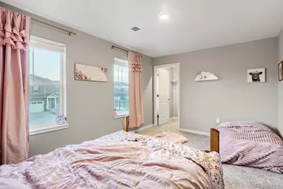 17311 Rose Mallow Street, Parker, CO 80134 - Photo 20