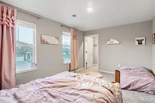 17311 Rose Mallow St, Parker, CO 80134 - Photo 20