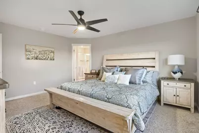 17311 Rose Mallow Street, Parker, CO 80134 - Photo 16