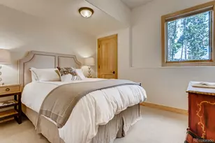 113 Primrose Pl, Frisco, CO 80443 - Photo 20