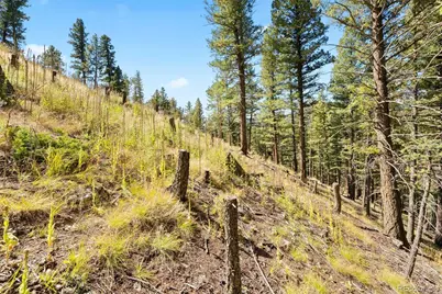Lot 83 Conifer Drive, Evergreen, CO 80439 - Photo 30