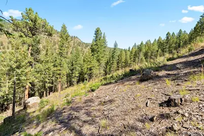 Lot 83 Conifer Drive, Evergreen, CO 80439 - Photo 20