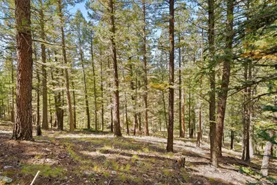 Lot 83 Conifer Drive, Evergreen, CO 80439 - Photo 16