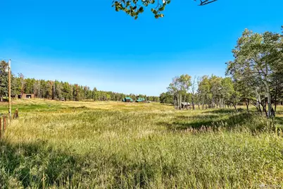 31645 Griffin Drive, Conifer, CO 80433 - Photo 26