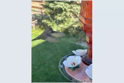 42311 Forest Oaks Drive, Elizabeth, CO 80107 - Photo 40