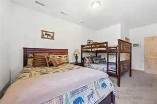 705 Gold Flake Terrace, Bailey, CO 80421 - Photo 30