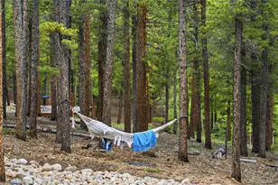 705 Gold Flake Terrace, Bailey, CO 80421 - Photo 38