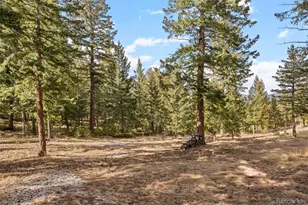 32581 Meadow Mountain Rd, Evergreen, CO 80439 - Photo 48