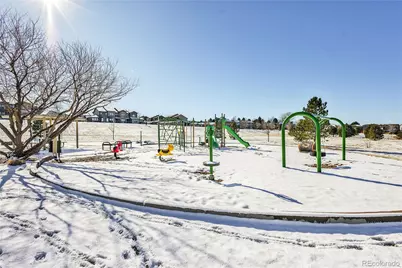 11641 Colony Loop, Parker, CO 80138 - Photo 46