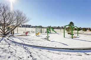 11641 Colony Loop, Parker, CO 80138 - Photo 46