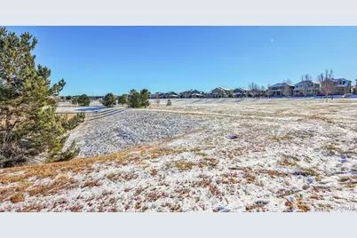 11641 Colony Loop, Parker, CO 80138 - Photo 48