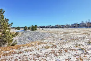 11641 Colony Loop, Parker, CO 80138 - Photo 48