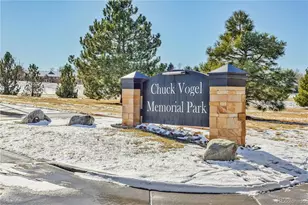 11641 Colony Loop, Parker, CO 80138 - Photo 44