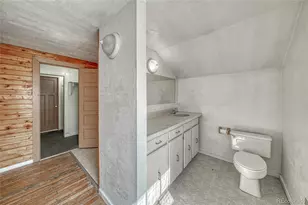 1705 Delane St, Leadville, CO 80461 - Photo 40