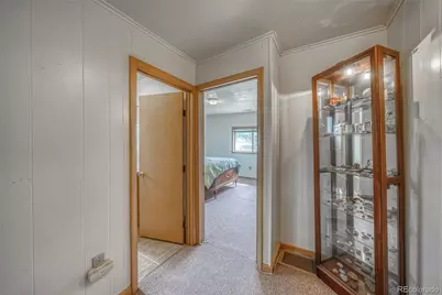1705 Delane Street, Leadville, CO 80461 - Photo 10