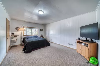 1705 Delane Street, Leadville, CO 80461 - Photo 14