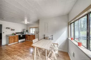 1705 Delane St, Leadville, CO 80461 - Photo 18