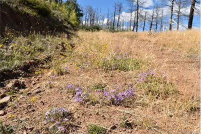 Soubry Pl, Fort Garland, CO 81133 - Photo 14