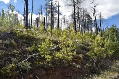 Soubry Pl, Fort Garland, CO 81133 - Photo 2