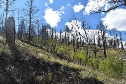 Soubry Pl, Fort Garland, CO 81133 - Photo 4