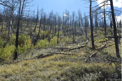 Soubry Pl, Fort Garland, CO 81133 - Photo 12