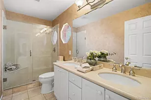 253 Huntley Ct, Castle Pines, CO 80108 - Photo 18