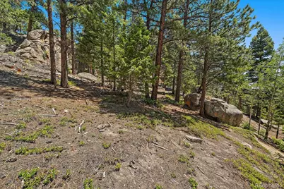 0 Skunk Alley, Evergreen, CO 80439 - Photo 6