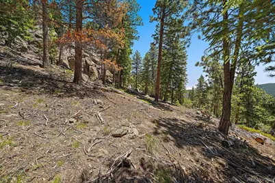 0 Skunk Alley, Evergreen, CO 80439 - Photo 8