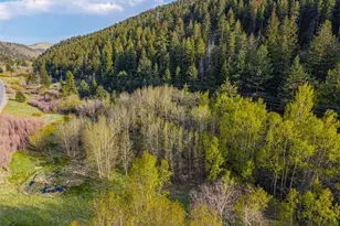 5896 Peregrine Trail, Golden, CO 80403 - Photo 28