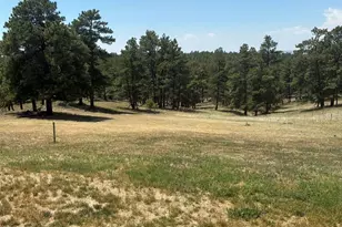 24074 Emerald Trail, Deer Trail, CO 80105 - Photo 18