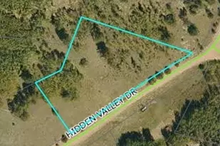 001 Hidden Valley, Florissant, CO 80816 - Photo 6