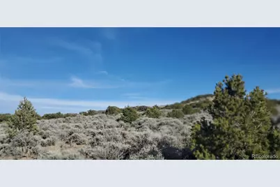 Lot 1099 Cacky Road, Fort Garland, CO 81133 - Photo 10