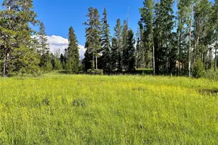 1680 N Cr-491 Rd, Grand Lake, CO 80447 - Photo 1