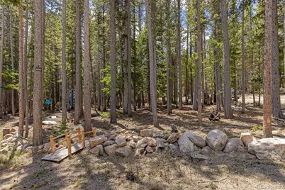 14 Deer Road, Idaho Springs, CO 80452 - Photo 6
