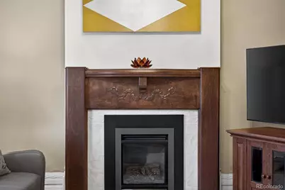 3923 Tejon Street, Denver, CO 80211 - Photo 8