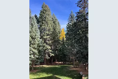 34498 Forest Estates Road, Evergreen, CO 80439 - Photo 46