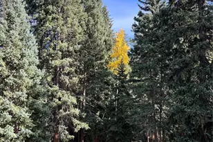 34498 Forest Estates Rd, Evergreen, CO 80439 - Photo 46