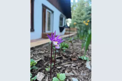 34498 Forest Estates Road, Evergreen, CO 80439 - Photo 40