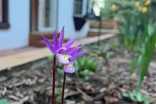 34498 Forest Estates Rd, Evergreen, CO 80439 - Photo 40