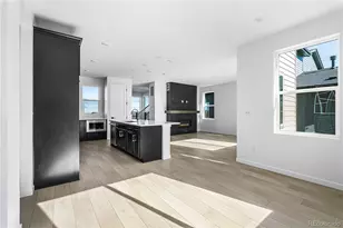 12058 Octave Ave, Lone Tree, CO 80134 - Photo 4