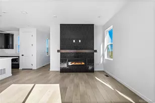 12058 Octave Ave, Lone Tree, CO 80134 - Photo 10