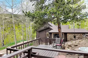 1263 Nevadaville Rd, Central City, CO 80247 - Photo 22