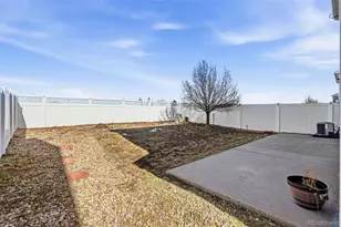 20691 Randolph Pl, Denver, CO 80249 - Photo 28