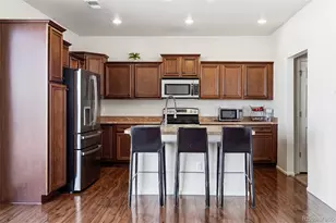 20691 Randolph Pl, Denver, CO 80249 - Photo 4