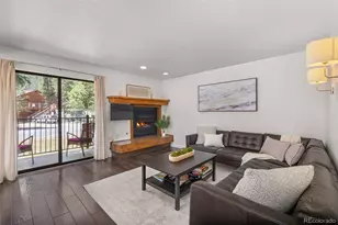 315 S 2nd Ave, Frisco, CO 80443 - Photo 2