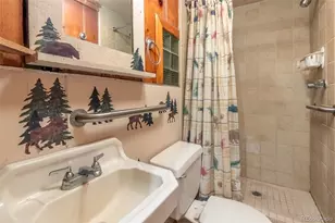 105 Lake Ave, Grand Lake, CO 80447 - Photo 12