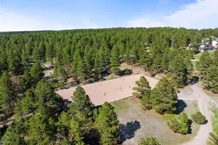 30886 County Road 17/21, Elizabeth, CO 80107 - Photo 28