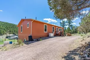 7878 Copper Gulch Rd, Cotopaxi, CO 81223 - Photo 2