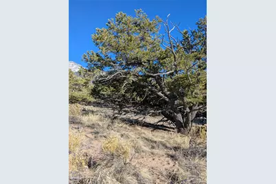 1393 Spanish Ruins, Crestone, CO 81131 - Photo 10